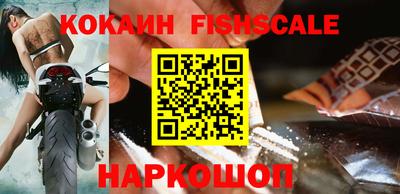 гидра Будённовск
