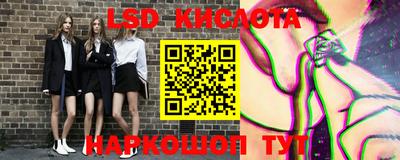 гидра Будённовск