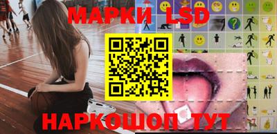 гидра Будённовск