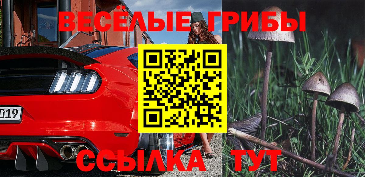 Галлюциногенные грибы Psilocybine cubensis Тюмень