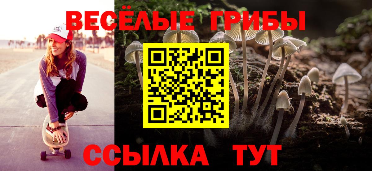 Галлюциногенные грибы Psilocybe  Вход с VPN  Тюмень 